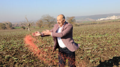 Mudanya Belediyesi’nin buğday tohumları toprakla buluştu