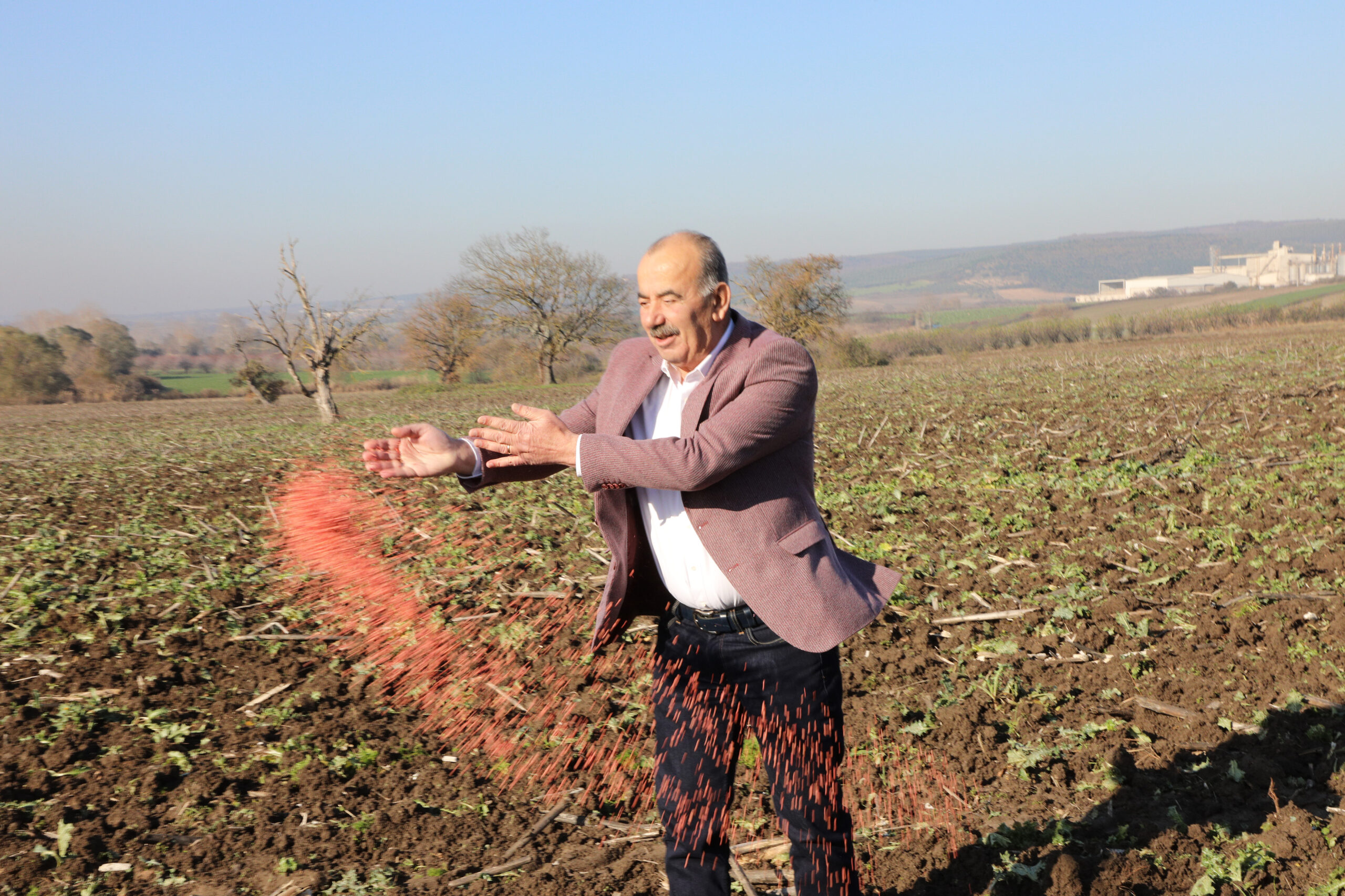 Mudanya Belediyesi’nin buğday tohumları toprakla buluştu