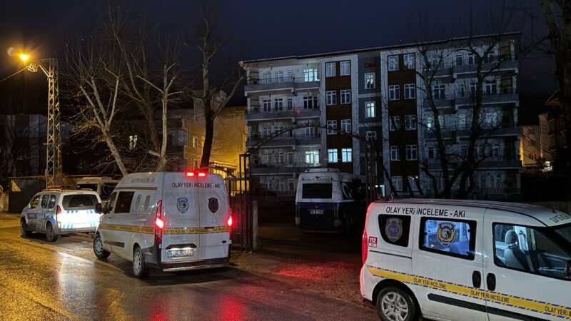 Bursa’daki korkunç cinayette flaş gelişme Bursa'nın Yıldırım ilçesinde, eşini bıçakla öldüren şüpheli polis tarafından yakalandı.