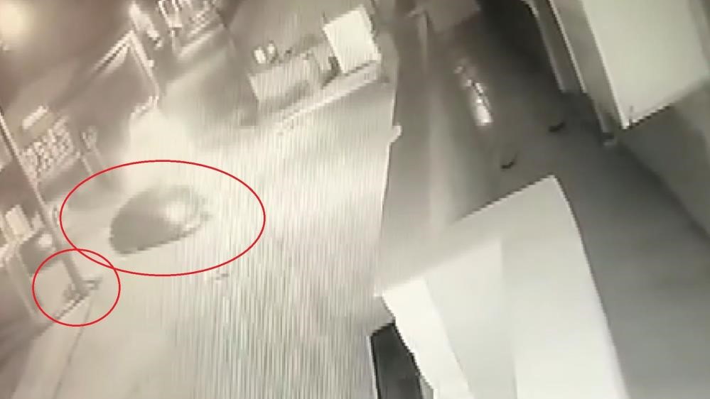 Bursa’daki korkunç cinayette flaş gelişme! Bursa’daki korkunç cinayette flaş gelişme!