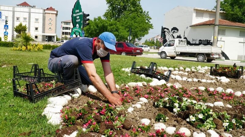 Mustafakemalpaşa’ya yemyeşil dokunuş! Mustafakemalpaşa Belediyesi Park ve Bahçeler Müdürlüğü, son beş yılda ilçeyi