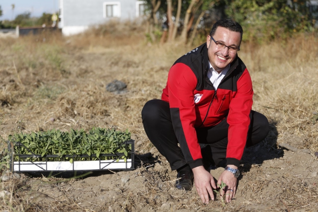 Mustafakemalpaşa tarımda en bereketli dönemini yaşıyor
