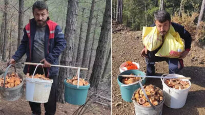 Her yıl bu zamanı bekliyor! Günde 4-5 saat çalışarak 5 bin TL kazanç