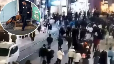 Taksim’de yasaklı ırk köpeği ağızlıksız gezdiren kişiye 66 bin 798 lira ceza