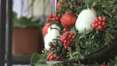 Kokinaya yoğun talep