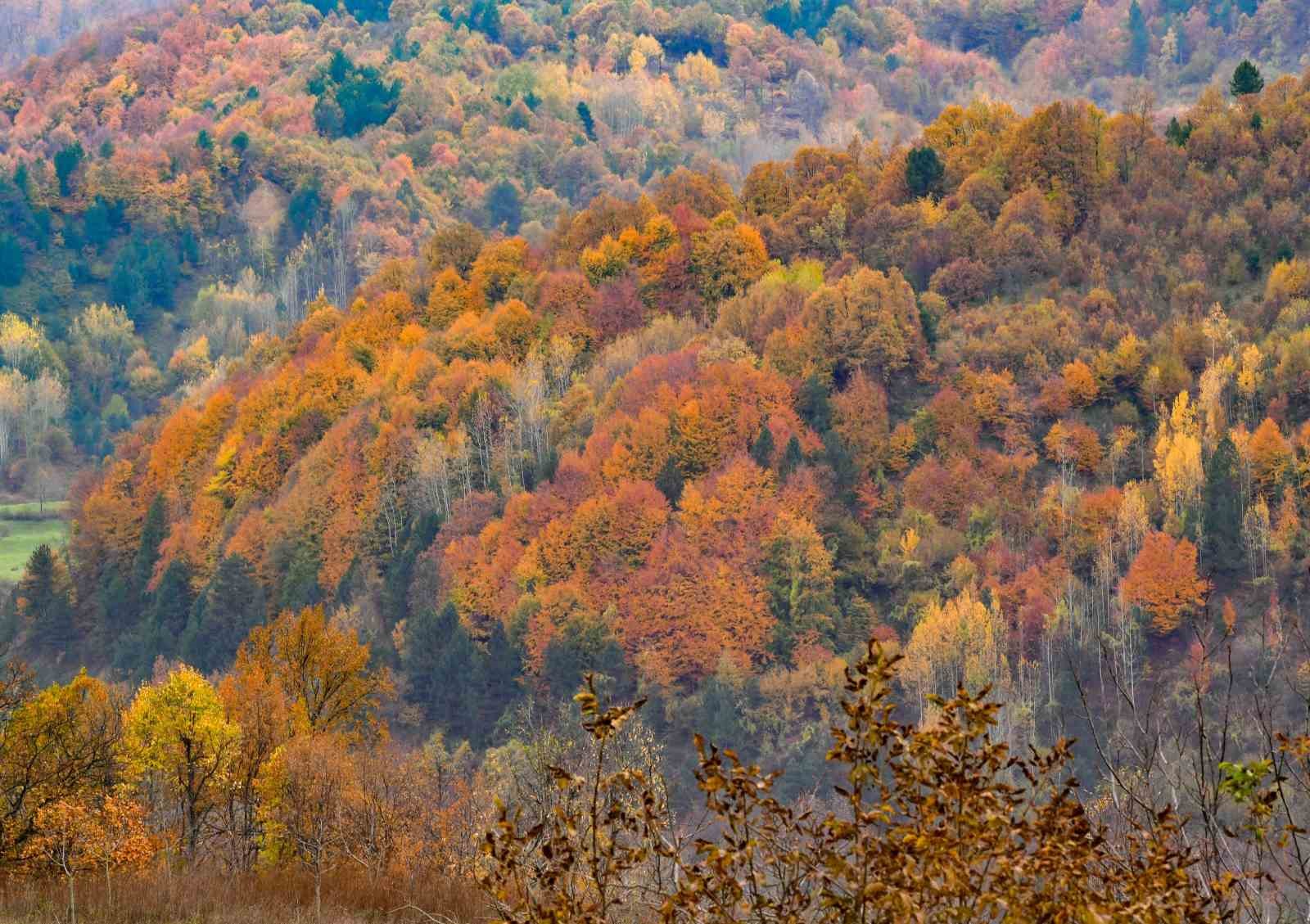 İnegöl’de ‘hazan’ güzelliği