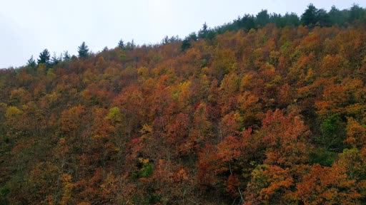 Uludağ’da renk cümbüşü! Havadan böyle görüntülendi