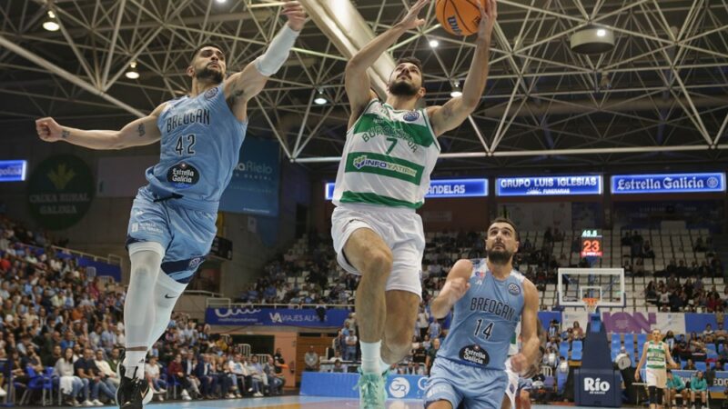 Bursa’da çok kritik maç! Timsah için salona… Yeşil beyazlıların Nilüfer TOFAŞ Spor Salonu’nda İspanyol ekibiyle oynayacağı zorlu
