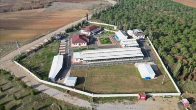 Can dostlarının güvenli yuvası; İnegöl Belediyesi