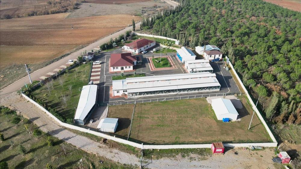 Can dostlarının güvenli yuvası; İnegöl Belediyesi