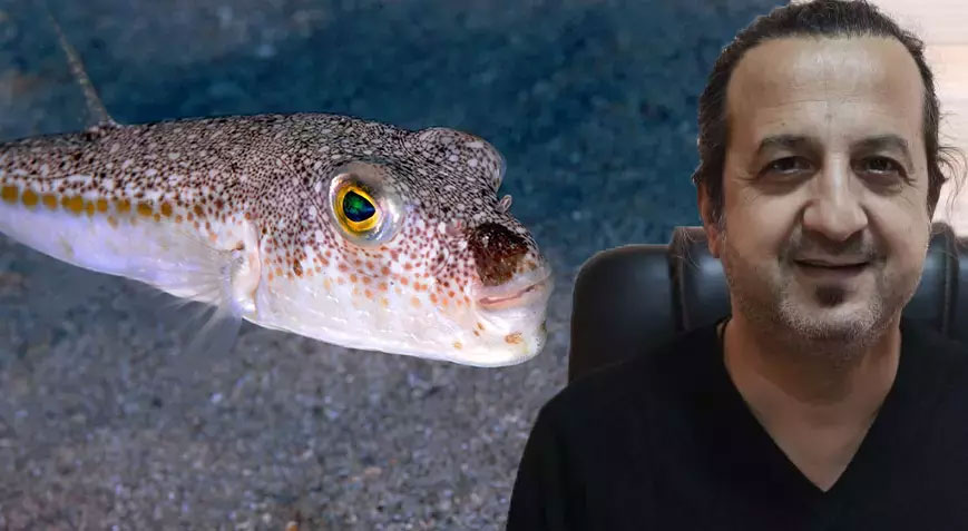 ‘Miligramı bile çok etkili bir zehirdir’ deyip uyardı