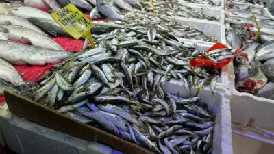 Havaların soğumasıyla vatandaşın balığa ilgisi arttı