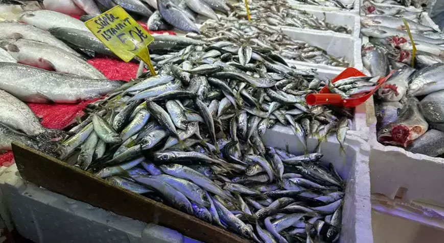 Havaların soğumasıyla vatandaşın balığa ilgisi arttı