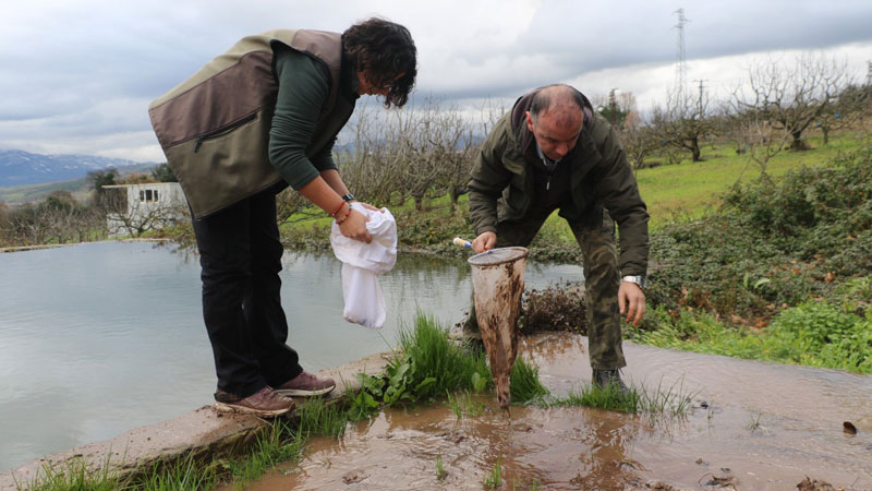 Bursa’da tespit edildi! Nesli tehlike altında…