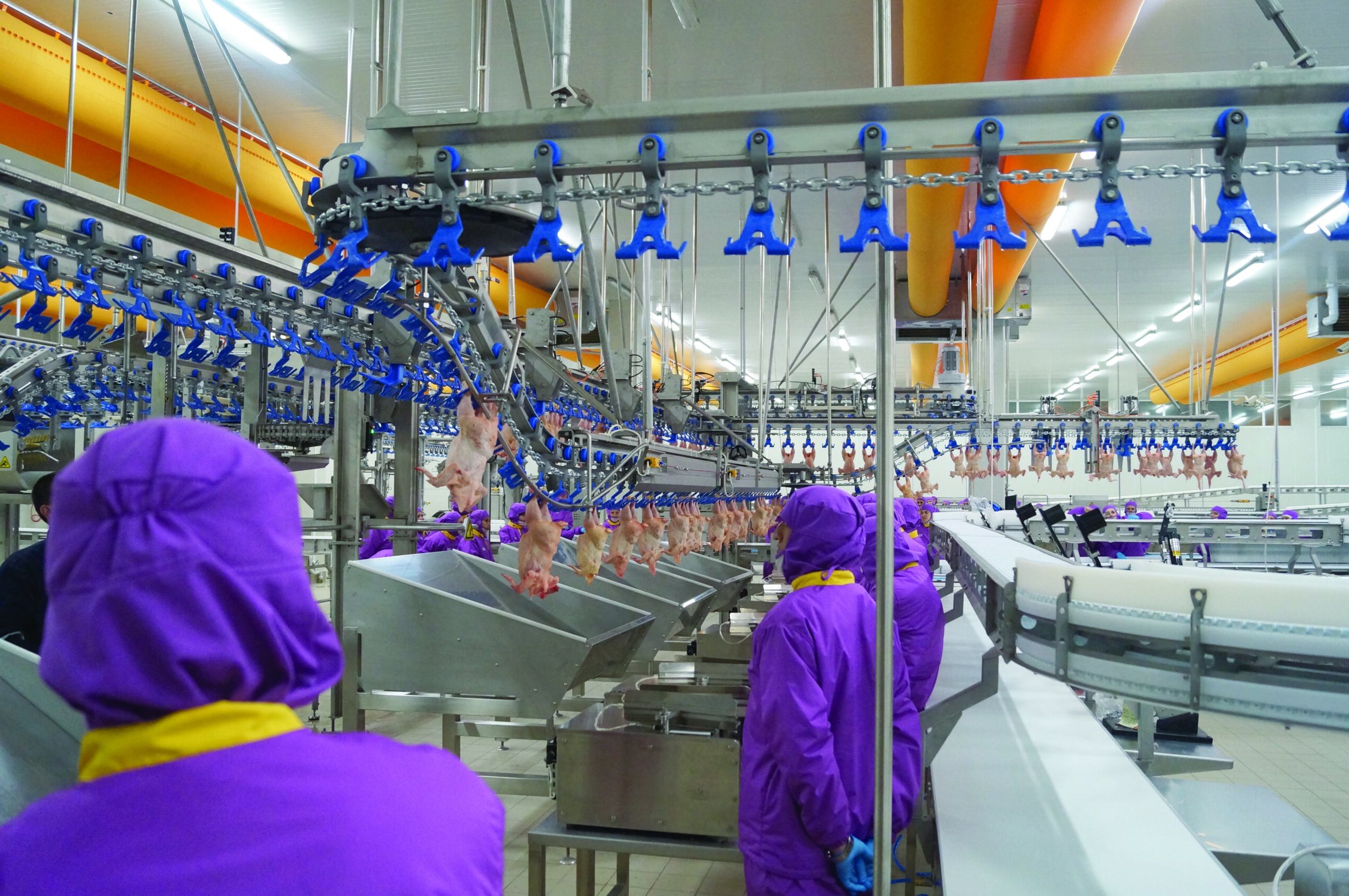 Yenilikçi projelerin bilimsel Merkezi; HasTavuk AR-GE