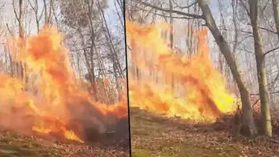 Sakarya’da korkutan yangın