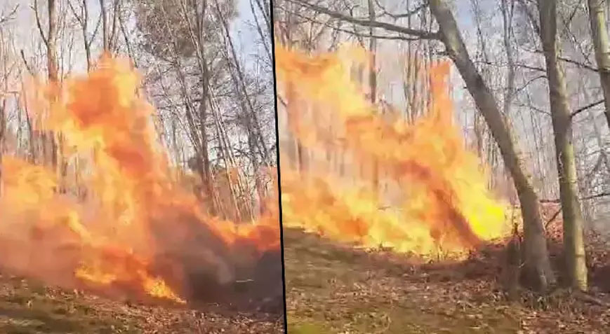 Sakarya’da korkutan yangın