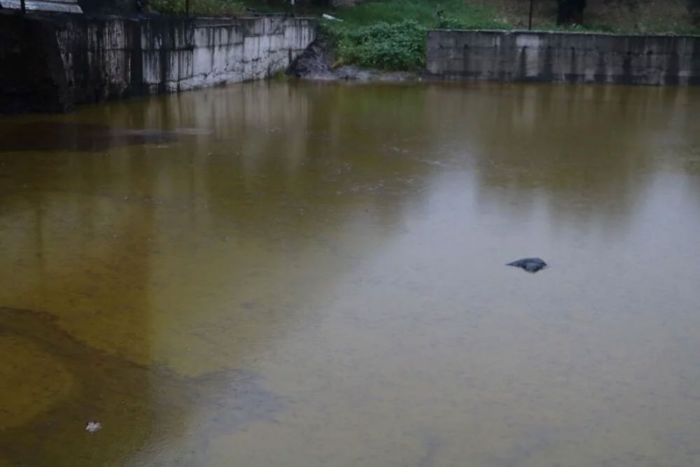 Depolar patladı tonlarca litre zeytinyağı araziye yayıldı