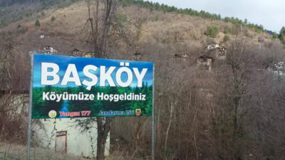 İki kentte şoke eden olay! Çok sayıda hayvan telef oldu