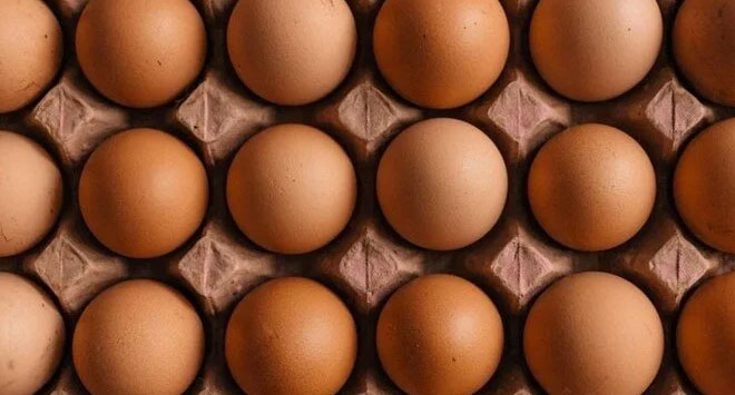 Türkiye’den Rusya’ya 19 tonluk yumurta