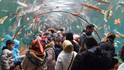 Bursa’da öğrencilere bir güzel haber daha! Tatil boyunca ücretsiz