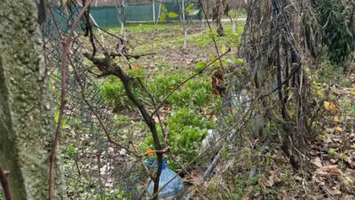 Bursa’da hırsızlar bağ evlerine dadandı