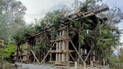 Kaçak yapıyı ağaç dallarıyla gizlemişler