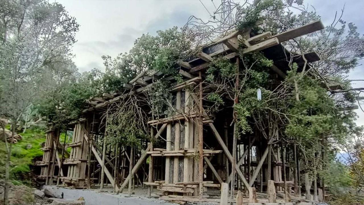 Kaçak yapıyı ağaç dallarıyla gizlemişler