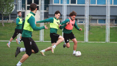 Timsah taktik çalıştı