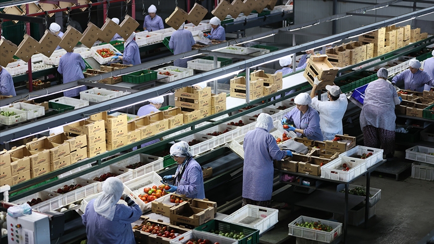 Ege Bölgesi’nin son bir yıllık meyve sebze mamulleri ihracatı 1 milyar doları aştı