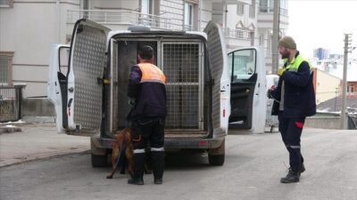 Köpeğin saldırdığı 2’si çocuk, 4 kişi yaralandı
