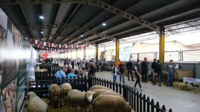 Bursa’daki bu festivalin tarihleri belli oldu