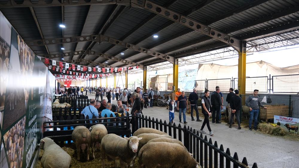 Bursa’daki bu festivalin tarihleri belli oldu