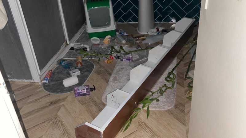 Gemlik’teki depremde bazı binalar hasar gördü! Gemlik'te meydana gelen 4.1 şiddetindeki deprem ilçede bazı binalarda hasar