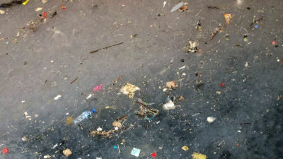 Binlercesi Marmara’da bir araya geldi: Deprem kadar yıkıcı ve tehlikeli