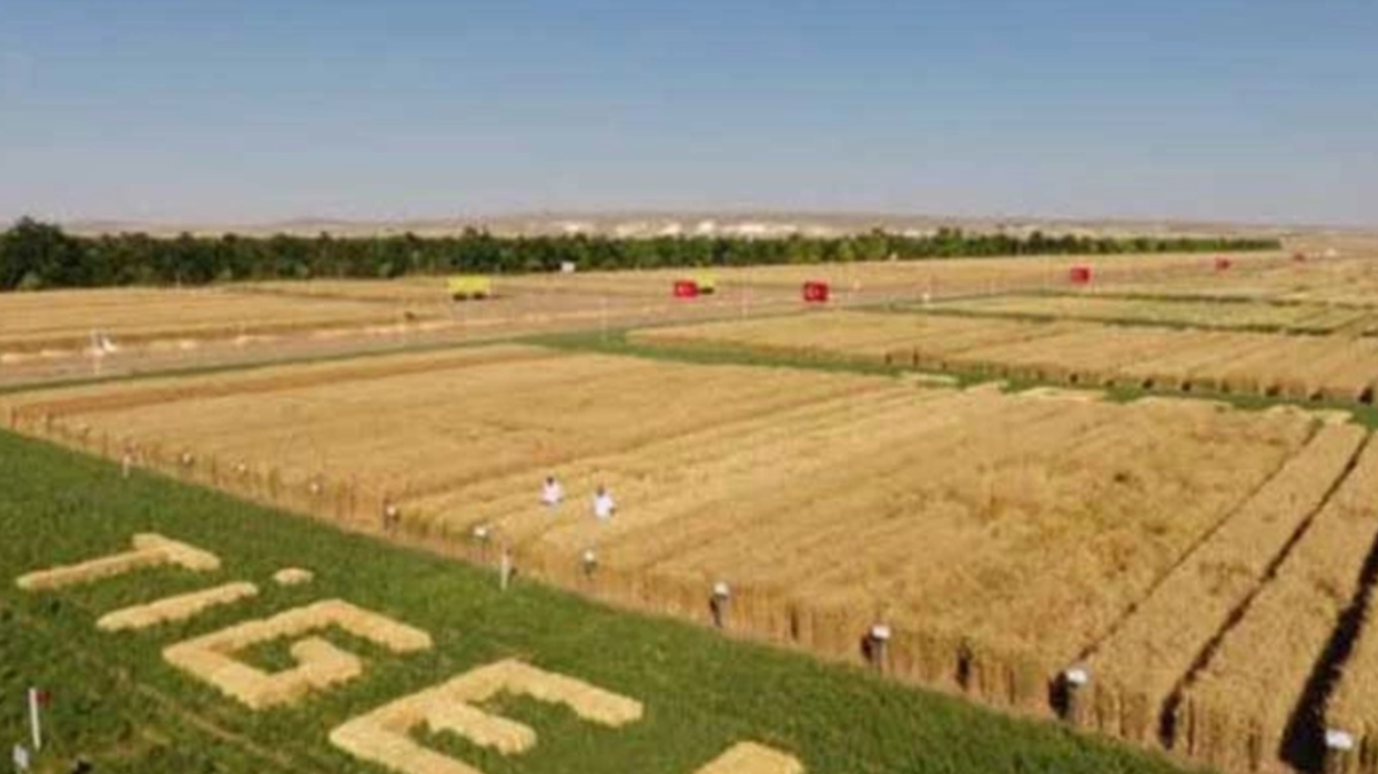 Bursa’da çok sayıda arazi kiraya verilecek! İşte yerleri ve bedelleri…
