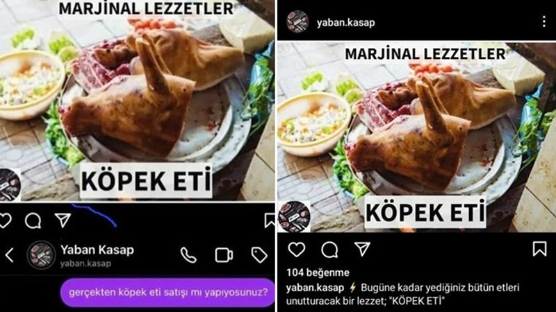 Bursa’da köpek eti satıldığı iddia edilmişti! Gerçek ortaya çıktı