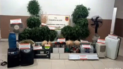 ‘Narkoçelik-1’ operasyonlarında 142 uyuşturucu taciri ve sokak satıcısı yakalandı