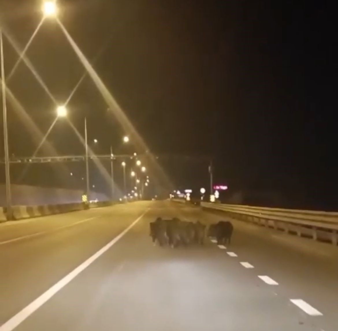 Bursa’da sürücülere zor anlar yaşatan olay!