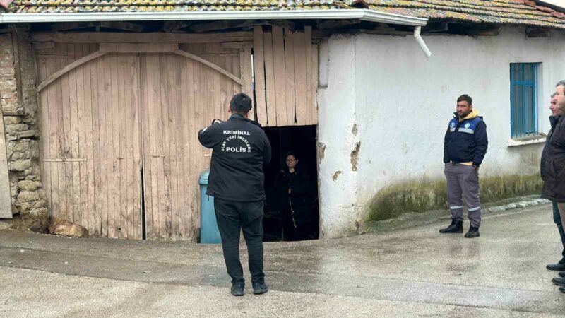  Bursa'nın Nilüfer ilçesinde, sobadan sızan karbonmonoksit gazından etkilenen çift yaşamını
