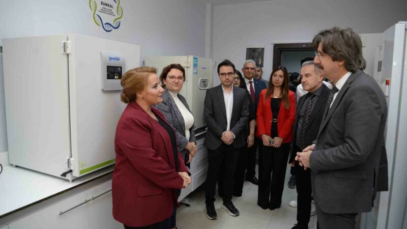 Bursa Uludağ Üniversitesi (BUÜ) Fen-Edebiyat Fakültesi’nde görev yapan akademisyenler, akciğer