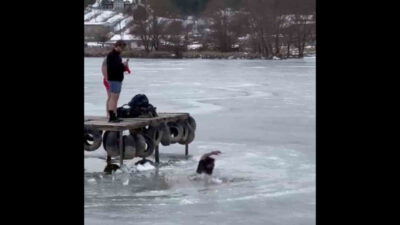 Bursa’da o anlar kamerada! Fotoğraf çektirirken dehşeti yaşadı