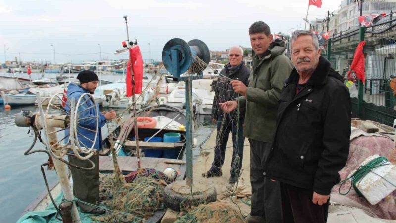 “Gemlik Körfezi büyük balıkçılara yasaklansın” talebi Mudanya Merkez Su Ürünleri Kooperatifi Başkanı Haluk Kozan, Gemlik Körfezi’nde