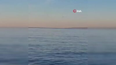 Bursa’da yunusların dansı kamerada