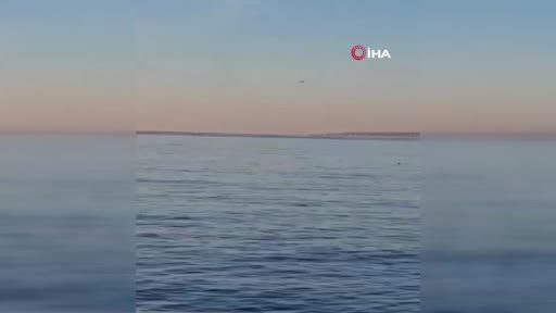 Bursa’da yunusların dansı kamerada