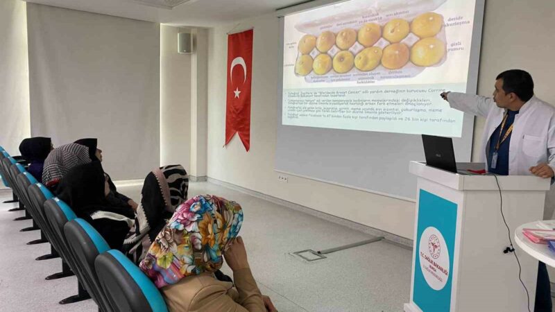 Nilüfer’de kadınlara ücretsiz kanser taraması Nilüfer Belediyesi ve Nilüfer İlçe Sağlık Müdürlüğü işbirliğiyle düzenlenen ‘Geç