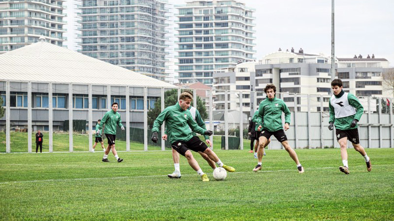 Timsah ara vermedi Timsah ara vermedi