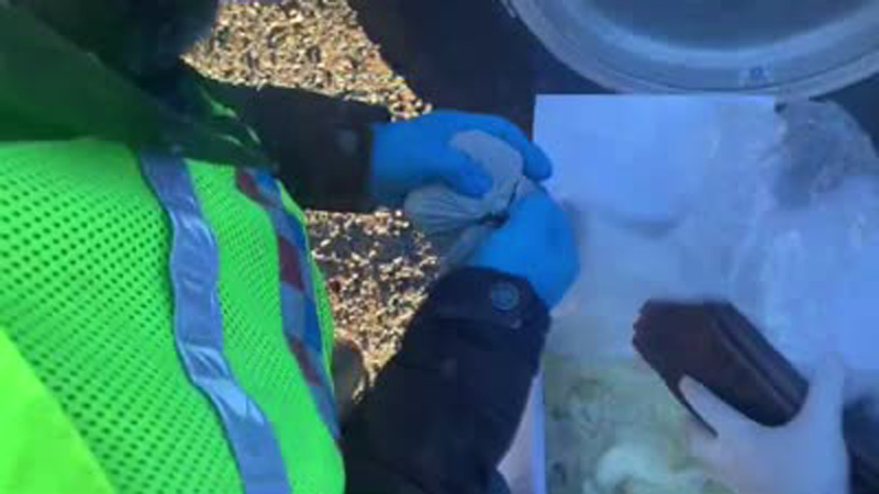 Peynirden tarihi eser çıktı