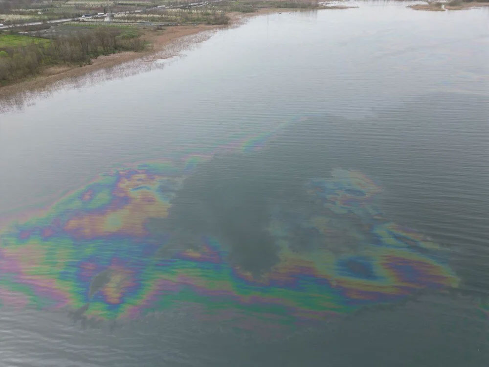 Akaryakıt sızmıştı: Sapanca Gölü’nden su içilebilir mi?