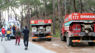 Ormanı “ısınmak” için yakmış